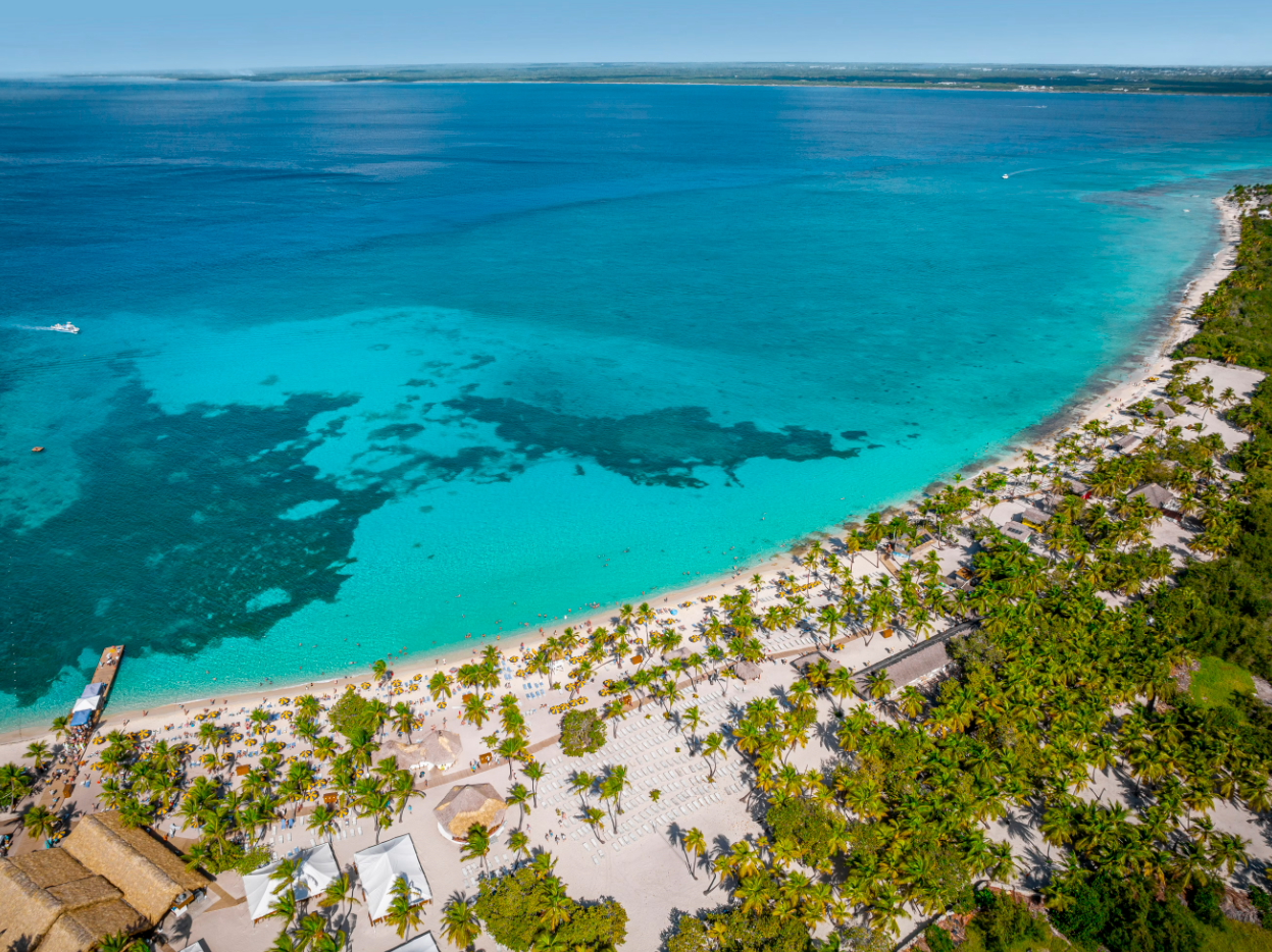 Aerial view of a pristine beach with clear turquoise waters and lush green palm trees lining the shore. The image captures a tranquil coastal scene, showcasing the beauty of a tropical paradise.